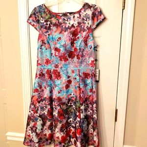 Adrianna papell dress